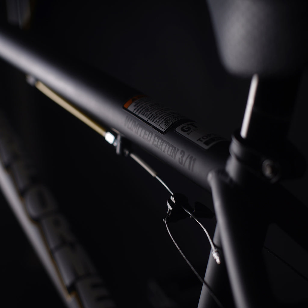 THE WELEGENDARY X GT PERFORMER BMX